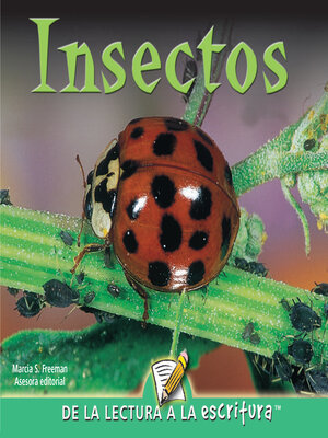 cover image of Insectos (Insects) (Spanish-Readers for Writers-Emergent)